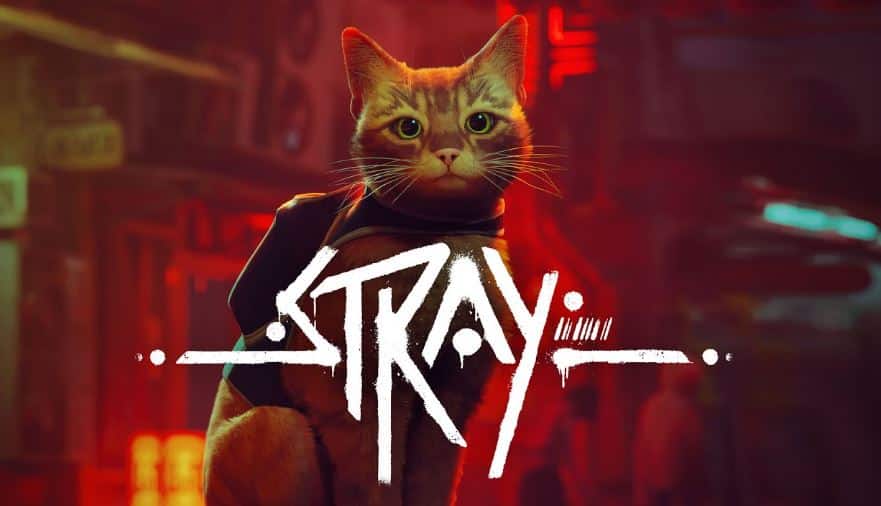 STRAY